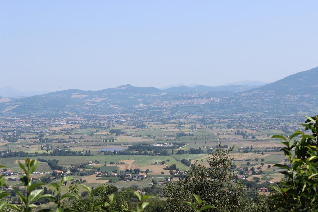 Вилла Societa Agricola F.Lli Angelucci Cannara Экстерьер фото